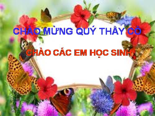 Bài 25. Thế giới rộng lớn và đa dạng