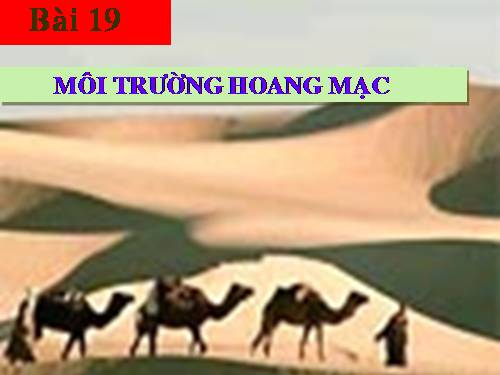 Bài 19. Môi trường hoang mạc