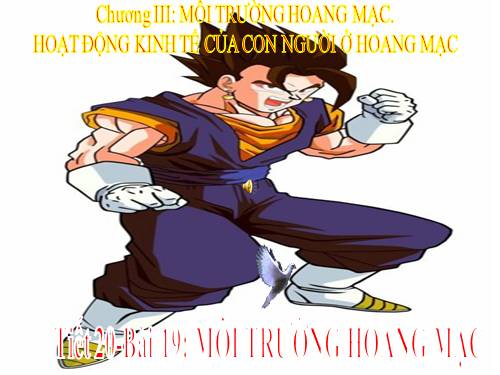 Bài 19. Môi trường hoang mạc