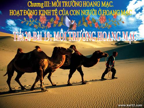 Bài 19. Môi trường hoang mạc