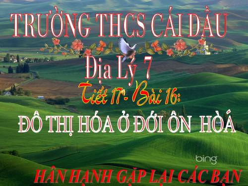 Bài 16. Đô thị hóa ở đới ôn hòa