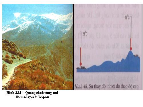 Bài 23. Môi trường vùng núi