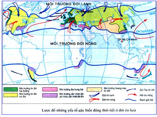 Bài 13. Môi trường đới ôn hòa