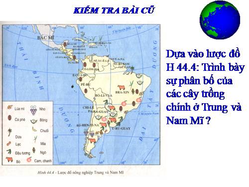 Bài 45. Kinh tế Trung và Nam Mĩ (tiếp theo)