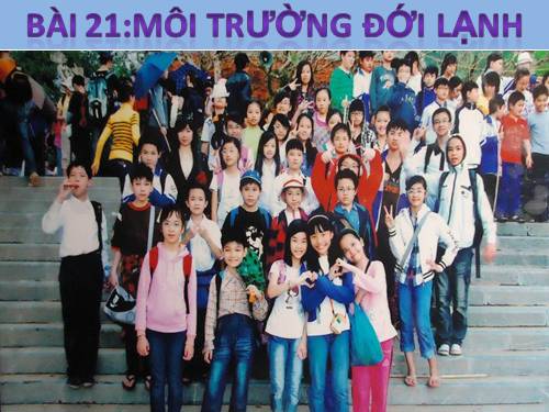 Bài 21. Môi trường đới lạnh