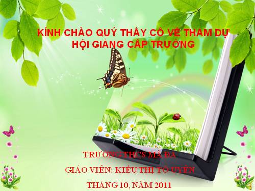 Bài 17. Ô nhiễm môi trường ở đới ôn hòa