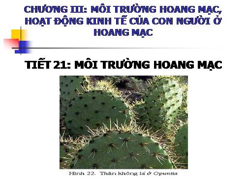 Bài 19. Môi trường hoang mạc