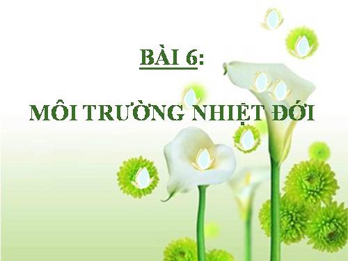 Bài 6. Môi trường nhiệt đới