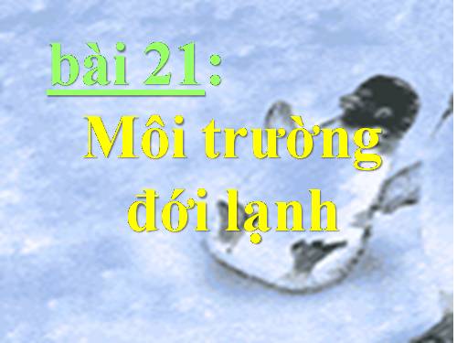 Bài 21. Môi trường đới lạnh