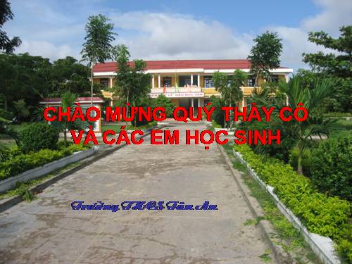 Bài 47. Châu Nam Cực - Châu lục lạnh nhất thế giới