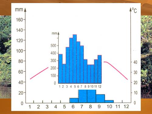 Bộ ảnh Địa lí 7, tập 2