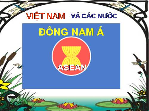 Việt Nam & ASEAN