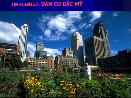 Bài 37. Dân cư Bắc Mĩ