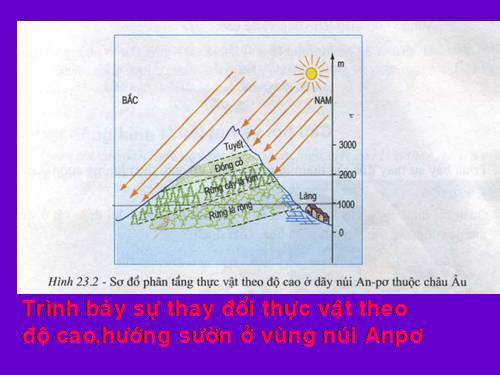 Bài 24. Hoạt động kinh tế của con người ở vùng núi