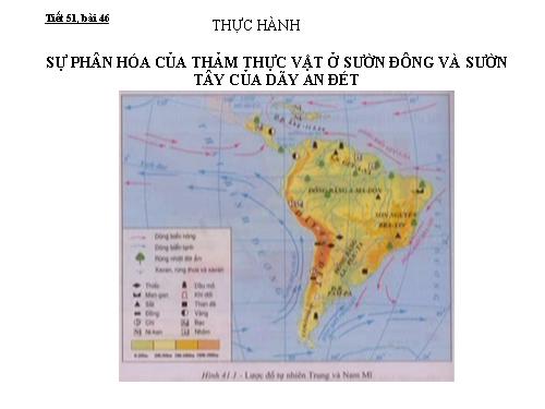 Bài 46. Thực hành: Sự phân hoá của thảm thực vật ở sườn đông và sườn tây của dãy núi An-đet