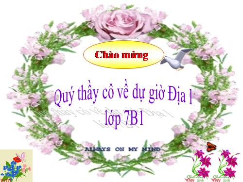 Bài 47. Châu Nam Cực - Châu lục lạnh nhất thế giới