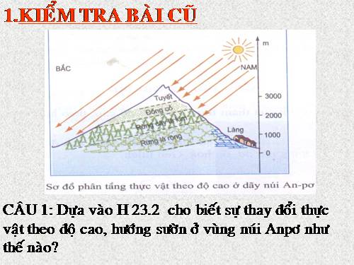 Bài 24. Hoạt động kinh tế của con người ở vùng núi