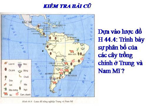 Bài 45. Kinh tế Trung và Nam Mĩ (tiếp theo)