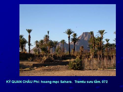 Shahara. Châu Phi. 072.ppt