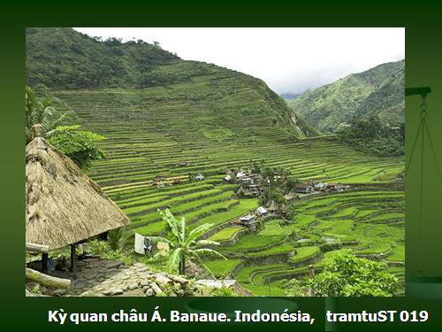 Kỳ quan châu Á. Banaue. Indonesia. 020