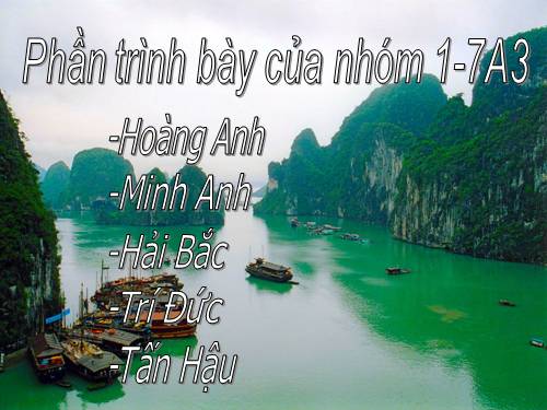 Sự phát triển kinh tế và văn hóa thời Đinh Tiền Lê