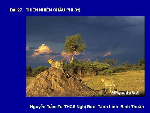 Bài 27. Thiên nhiên châu Phi (tiếp theo)