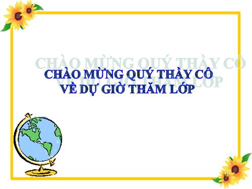 MÔI TRƯỜNG VÙNG NÚI