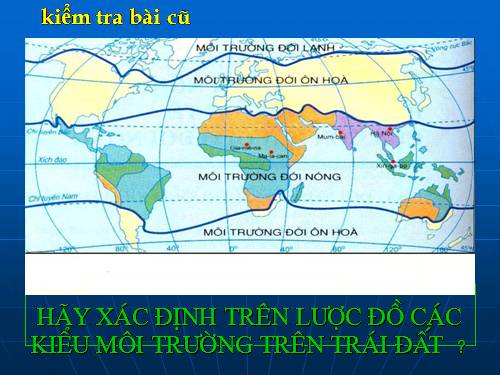 Bài 13. Môi trường đới ôn hòa