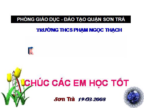 Bài 47. Châu Nam Cực - Châu lục lạnh nhất thế giới