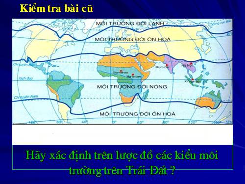 Bài 13. Môi trường đới ôn hòa