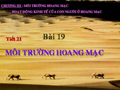 Bài 19. Môi trường hoang mạc