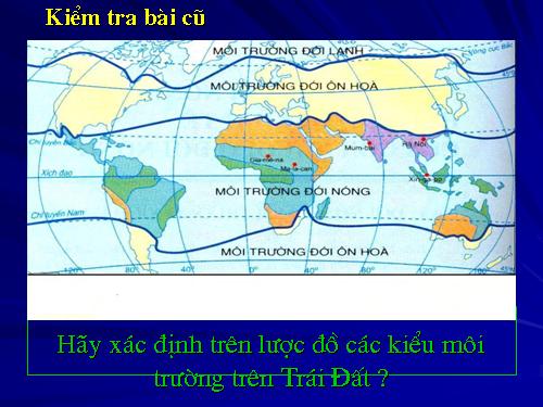 Bài 13. Môi trường đới ôn hòa