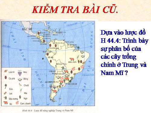 Bài 45. Kinh tế Trung và Nam Mĩ (tiếp theo)