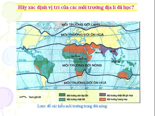 Bài 19. Môi trường hoang mạc