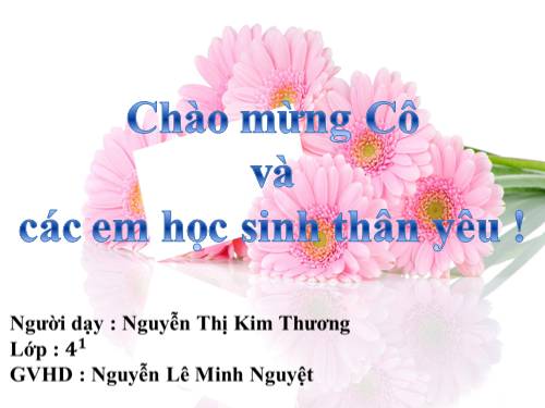 Tuần 24. Nghe-viết: Họa sĩ Tô Ngọc Vân