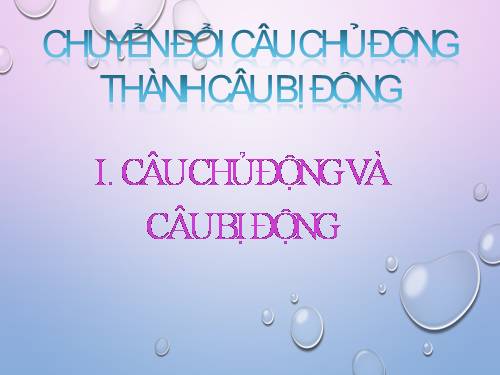 Bài 23. Chuyển đổi câu chủ động thành câu bị động