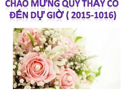 Bài 20. Câu đặc biệt