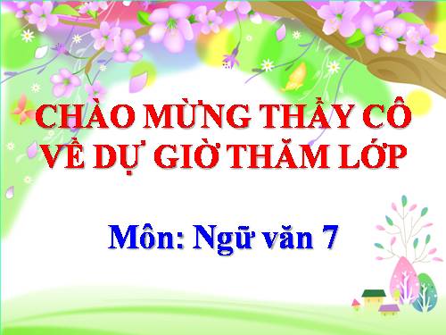 Bài 15. Mùa xuân của tôi