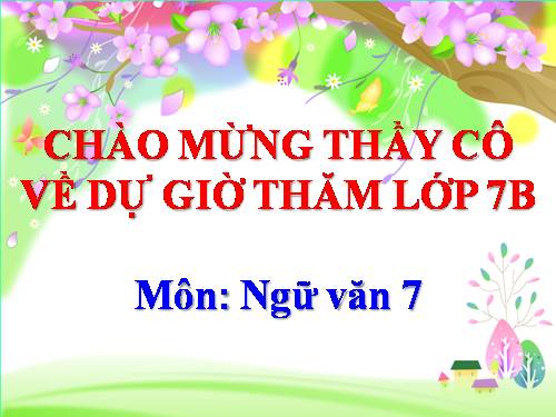 Bài 15. Mùa xuân của tôi