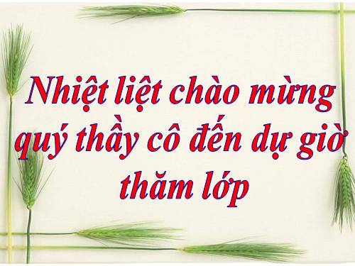 Bài 1. Từ ghép