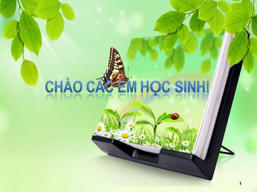 Bài 24. Ý nghĩa văn chương