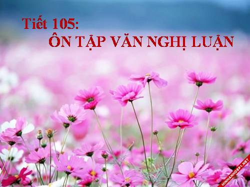 Bài 25. Ôn tập văn nghị luận