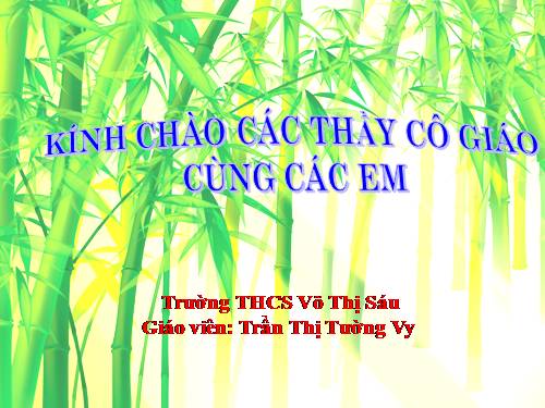 Bài 27. Những trò lố hay là Va-ren và Phan Bội Châu