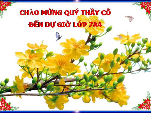 Bài 24. Chuyển đổi câu chủ động thành câu bị động (tiếp theo)