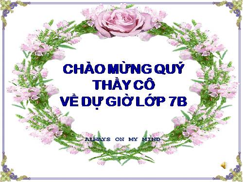 Bài 21. Thêm trạng ngữ cho câu