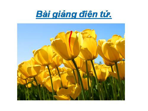 Bài 19. Rút gọn câu