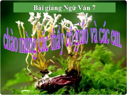 Bài 5. Từ Hán Việt