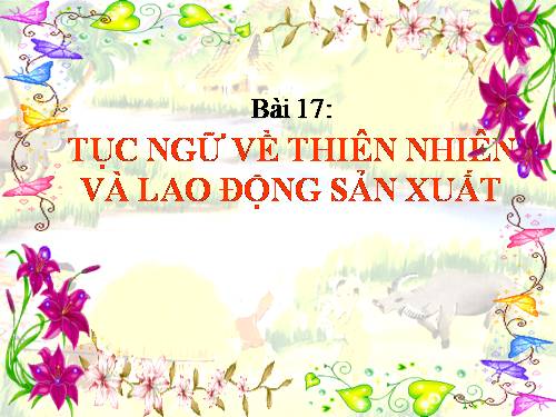 Bài 19. Tục ngữ về con người và xã hội