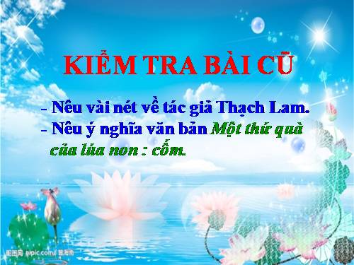 Bài 15. Mùa xuân của tôi