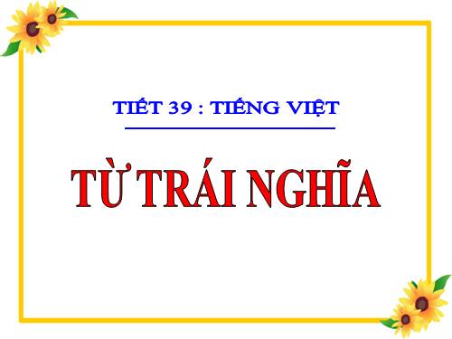 Bài 10. Từ trái nghĩa